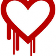 Heartbleed – Don’t Panic!